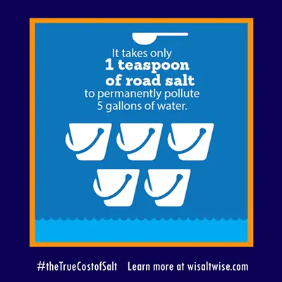 graphic depicting how 1 teaspoon of road salt can permanently pollute 5 gallons of water