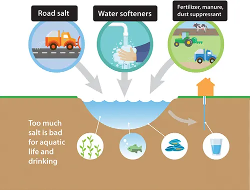 image showing the impact of salt on aquatic life and drinking water